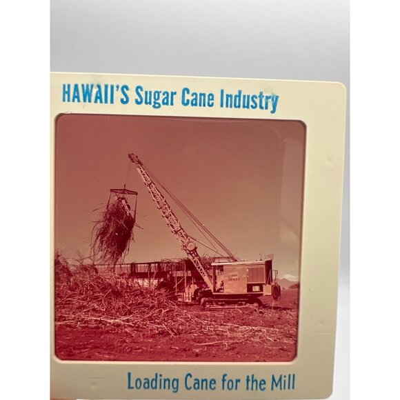 Vintage Pineapple & Sugar Cane Industries GAF Pana-Vue Travel Slides Hawaii - Picture 9 of 11